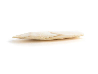 Josh's Frogs Sepia Bones (2 Pack)