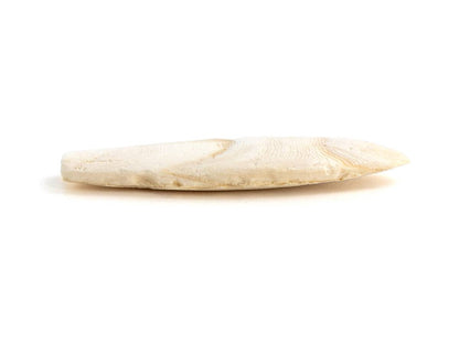 Josh's Frogs Sepia Bones (2 Pack)