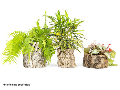 Josh's Frogs Virgin Cork Planter (4 inch tall)