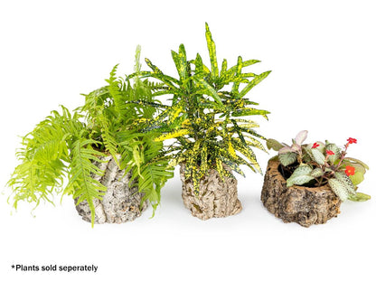 Josh's Frogs Virgin Cork Planter (4 inch tall)