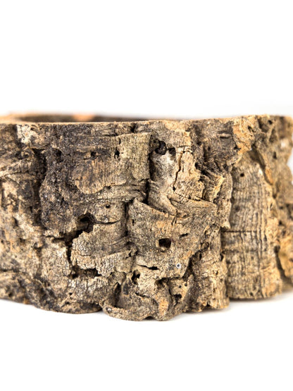 Josh's Frogs Virgin Cork Planter (4 inch tall)