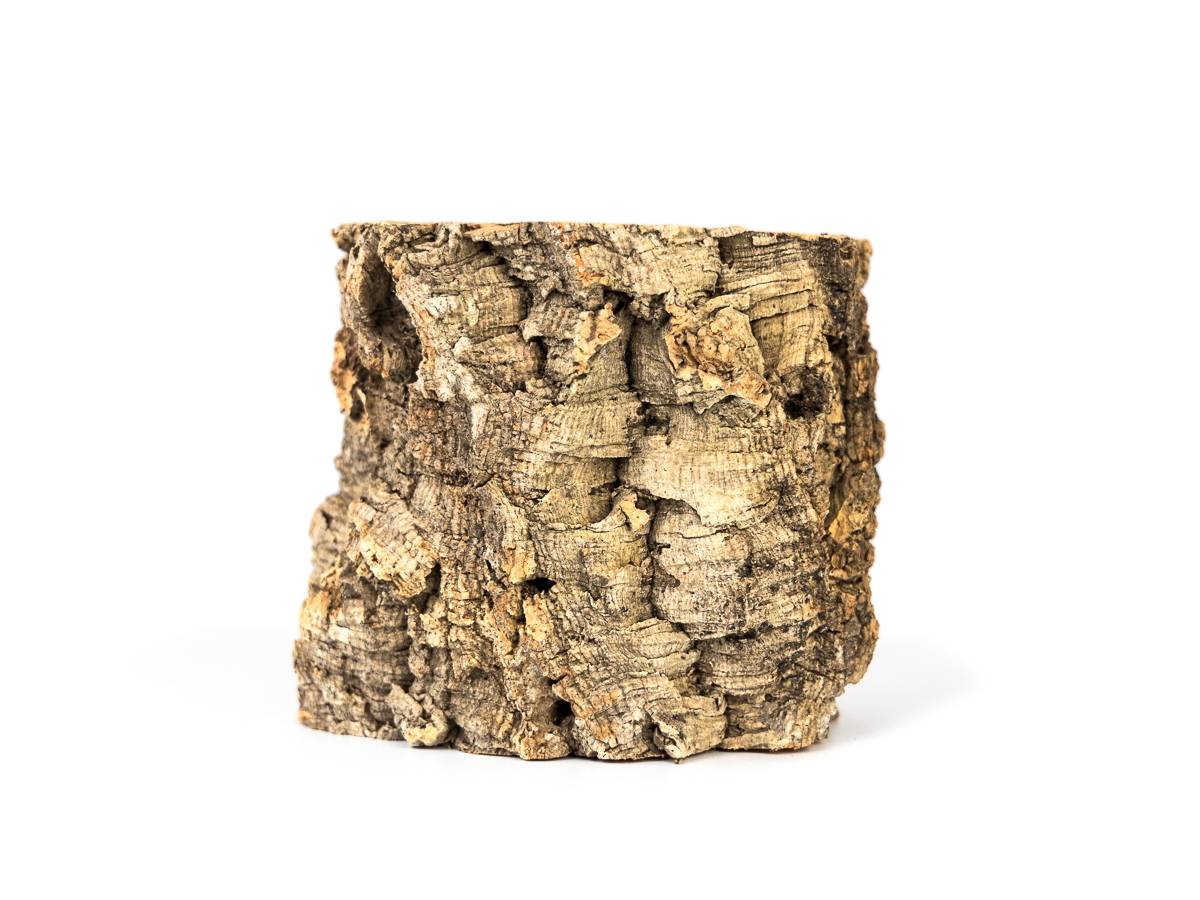 Josh's Frogs Virgin Cork Planter (6 inch tall)