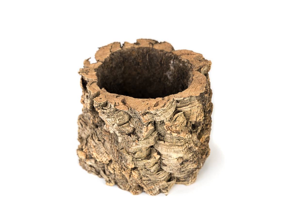 Josh's Frogs Virgin Cork Planter (6 inch tall)