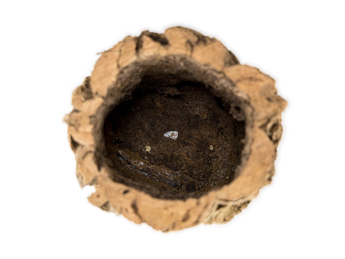 Josh's Frogs Virgin Cork Planter (6 inch tall)