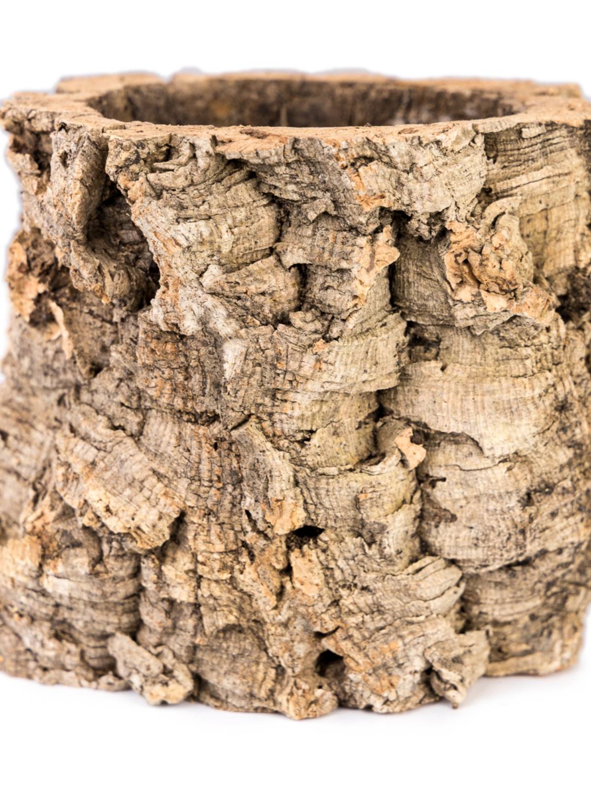 Josh's Frogs Virgin Cork Planter (6 inch tall)