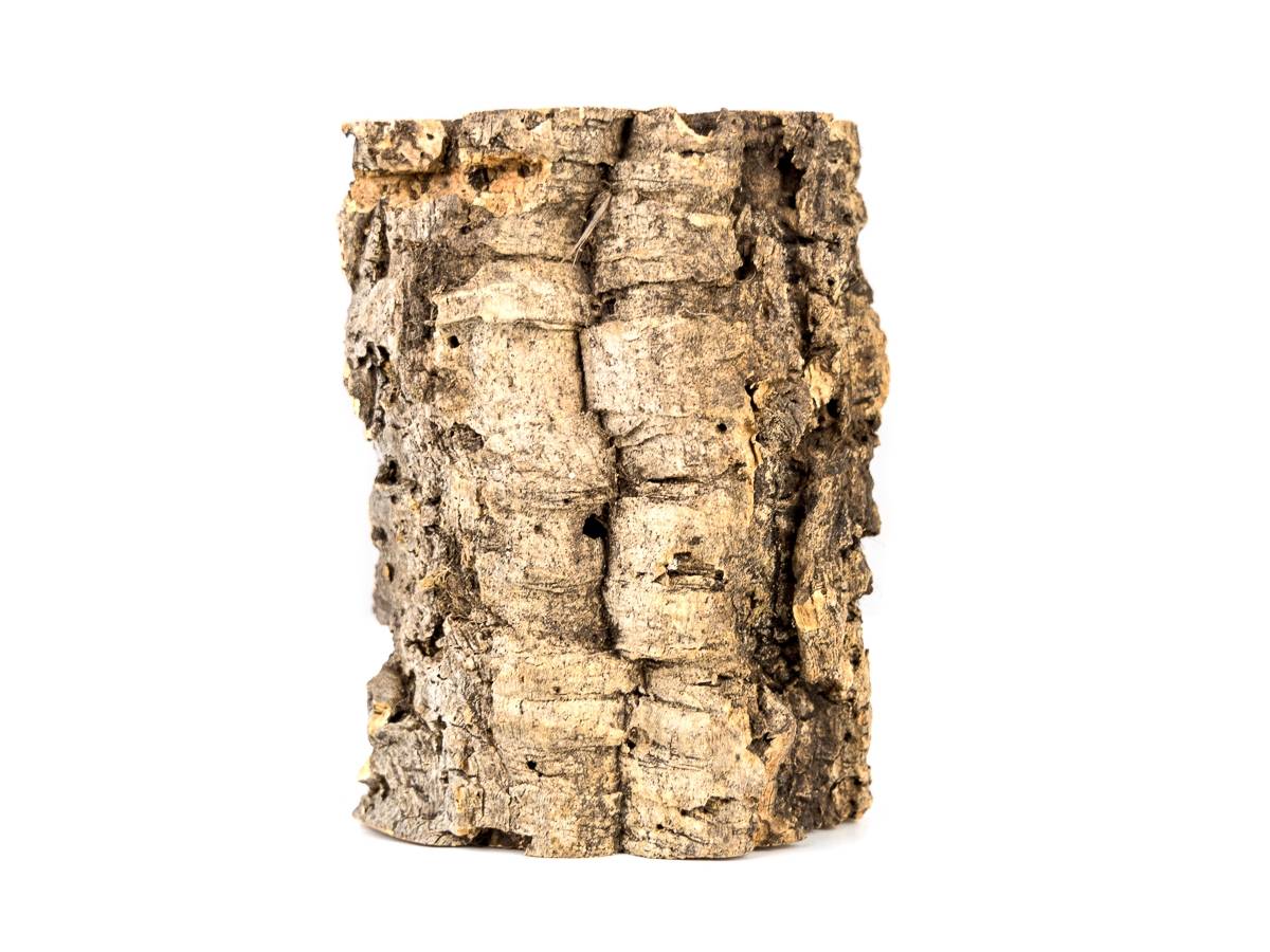 Josh's Frogs Virgin Cork Planter (8 inch tall)