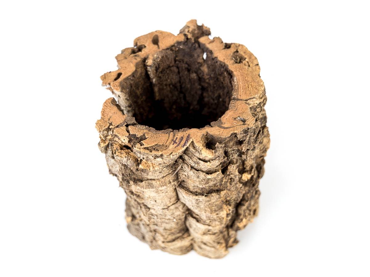Josh's Frogs Virgin Cork Planter (8 inch tall)