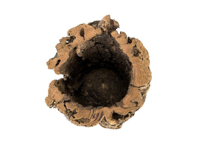 Josh's Frogs Virgin Cork Planter (8 inch tall)
