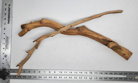 Manzanita Wood (Large)