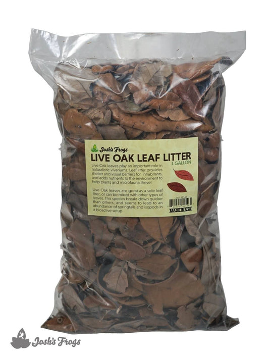 Live Oak Leaf Litter (1 gallon)