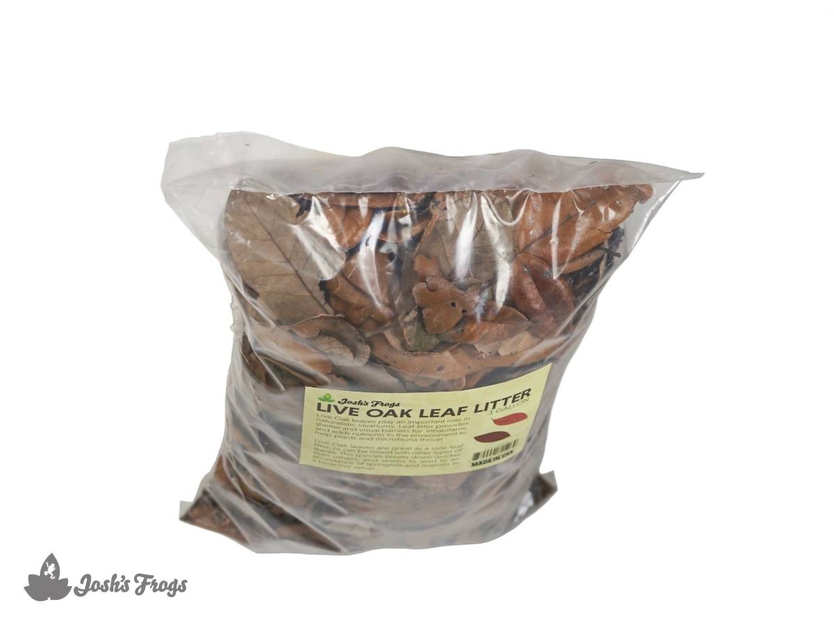 Live Oak Leaf Litter (1 gallon)