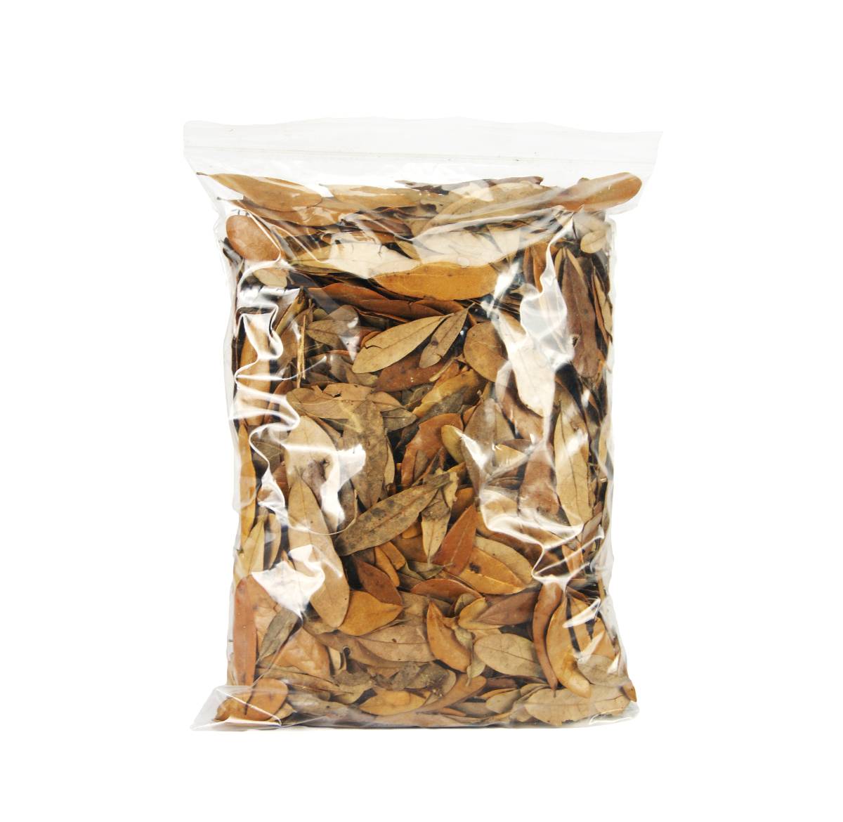 Live Oak Leaf Litter (1 gallon)