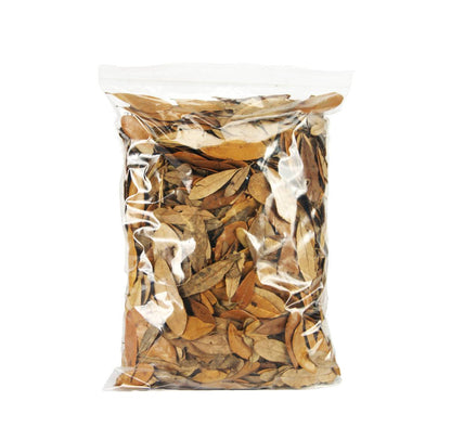 Live Oak Leaf Litter (1 gallon)