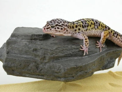 MagNaturals Magnetic Rock Ledge (Small - Granite)