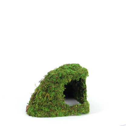 Galapagos Mossy Corner Hide (10" x 5.5")