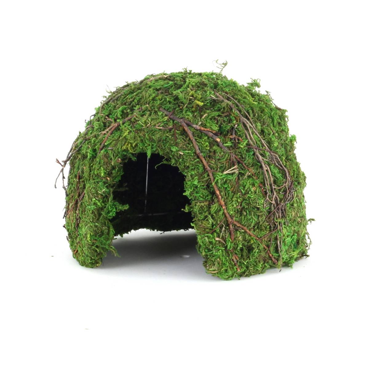 Galapagos Mossy Dome Hide - Vined (6 inch)