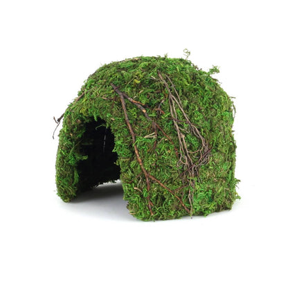 Galapagos Mossy Dome Hide - Vined (6 inch)