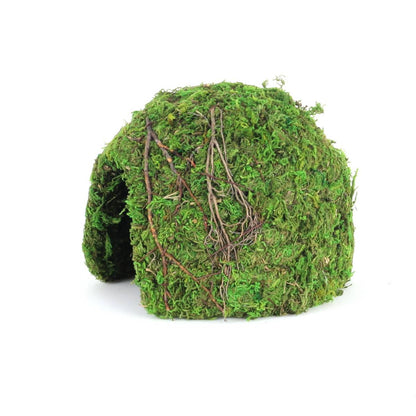 Galapagos Mossy Dome Hide - Vined (6 inch)