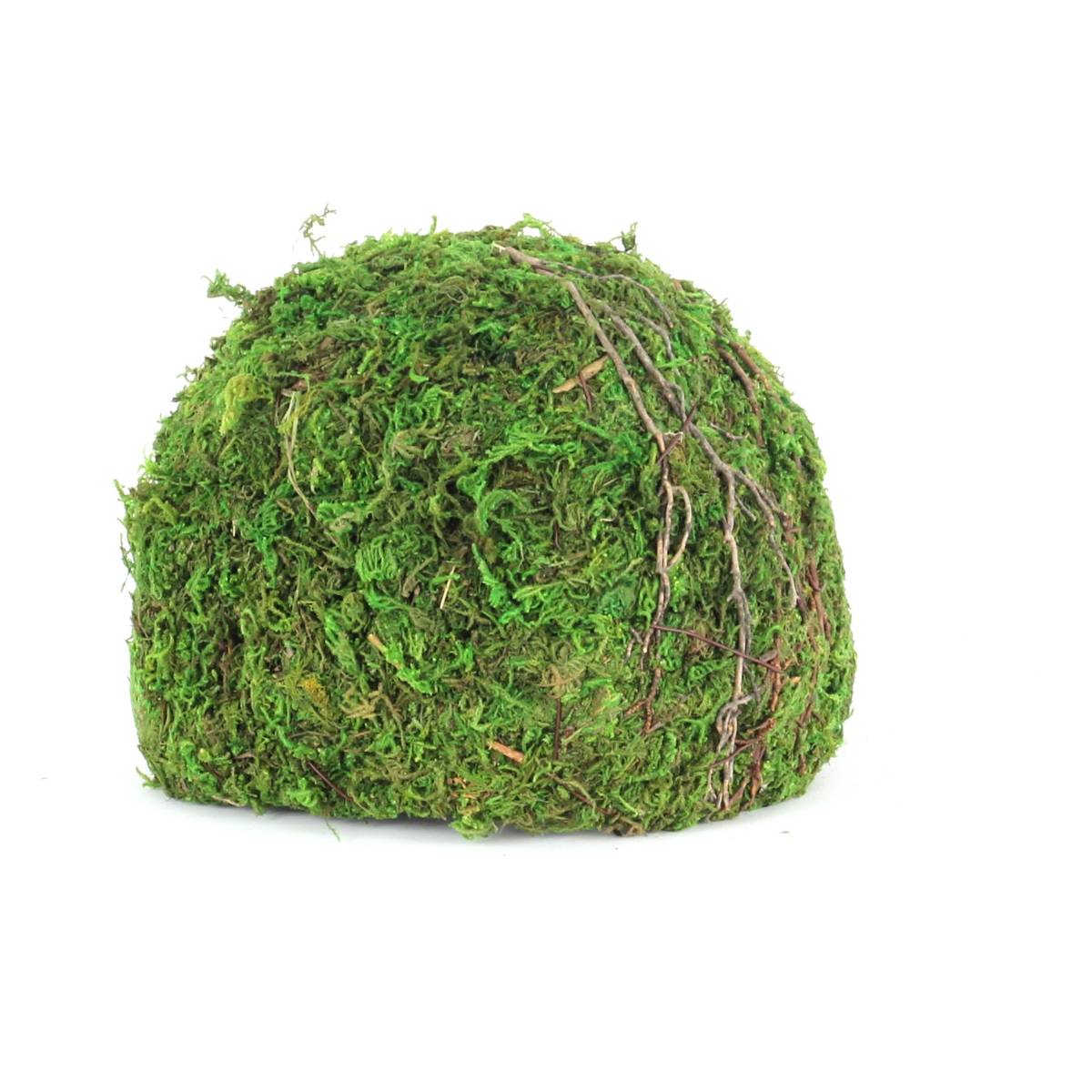 Galapagos Mossy Dome Hide - Vined (6 inch)