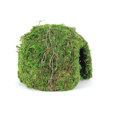 Galapagos Mossy Dome Hide - Vined (6 inch)