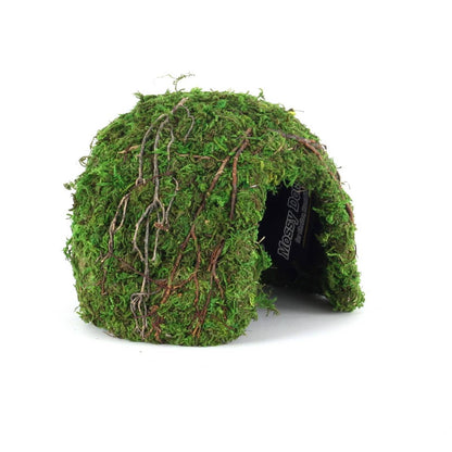 Galapagos Mossy Dome Hide - Vined (6 inch)