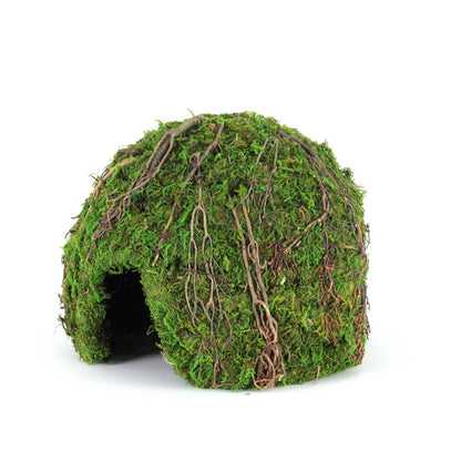 Galapagos Mossy Dome Hide - Vined (9 inch)