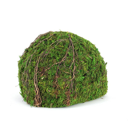 Galapagos Mossy Dome Hide - Vined (9 inch)