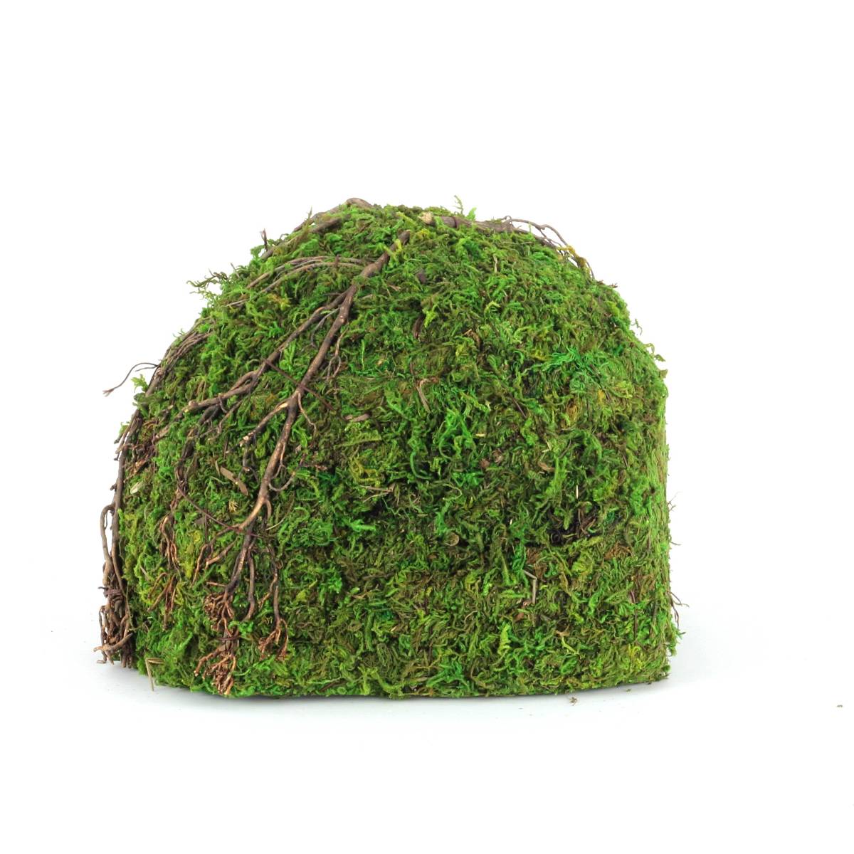 Galapagos Mossy Dome Hide - Vined (9 inch)