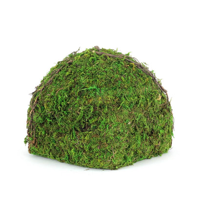 Galapagos Mossy Dome Hide - Vined (9 inch)