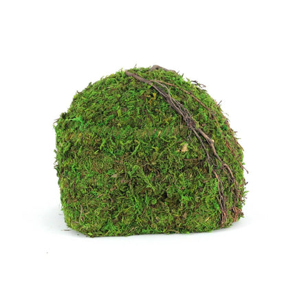 Galapagos Mossy Dome Hide - Vined (9 inch)