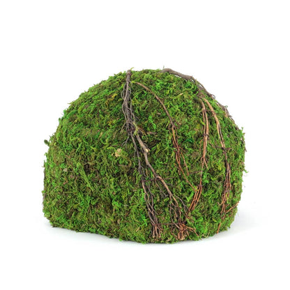 Galapagos Mossy Dome Hide - Vined (9 inch)