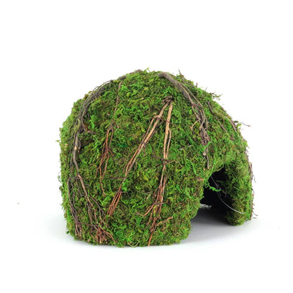 Galapagos Mossy Dome Hide - Vined (9 inch)