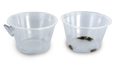 Mounted Suction Feeding Cup for Geckos (4 oz Cup)