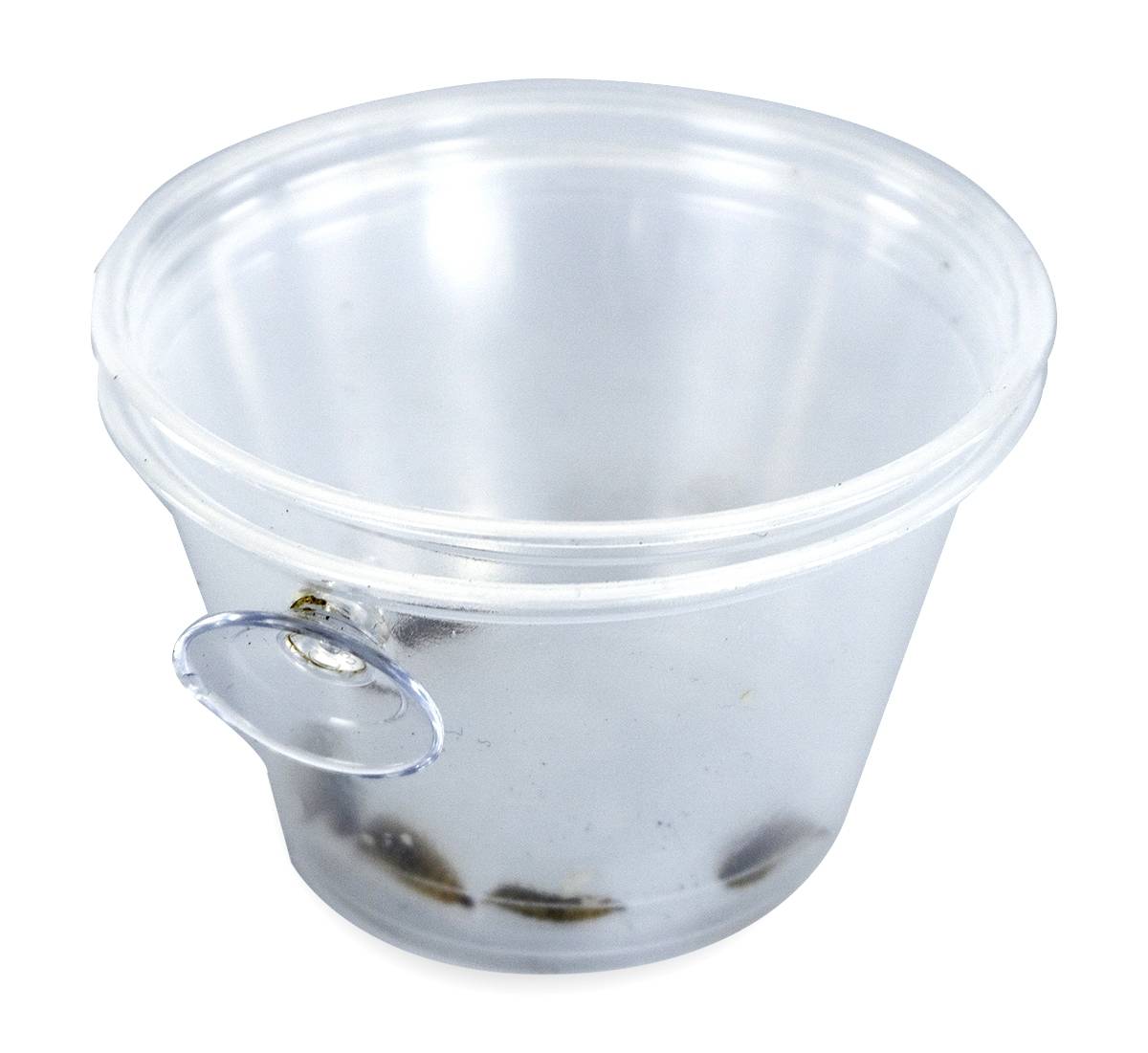 Mounted Suction Feeding Cup for Geckos (4 oz Cup)