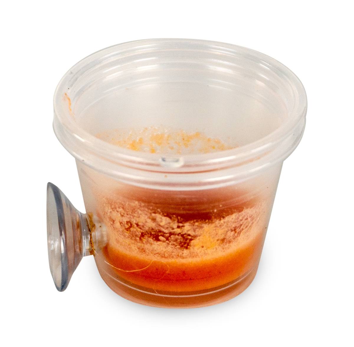 Mounted Suction Feeding Cup for Geckos (1 oz Cup)