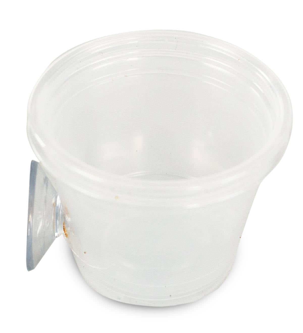 Mounted Suction Feeding Cup for Geckos (1 oz Cup)