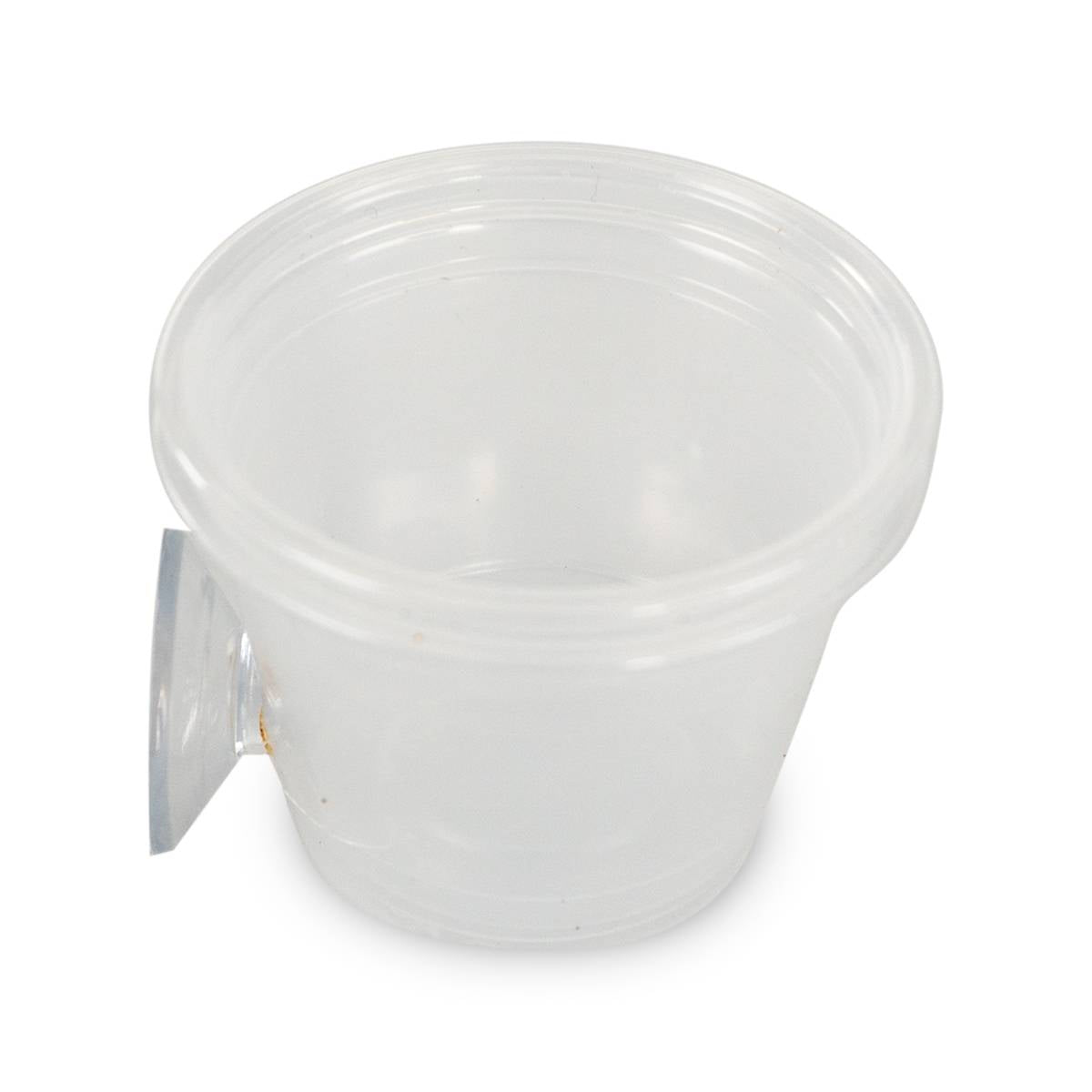 Mounted Suction Feeding Cup for Geckos (1 oz Cup)