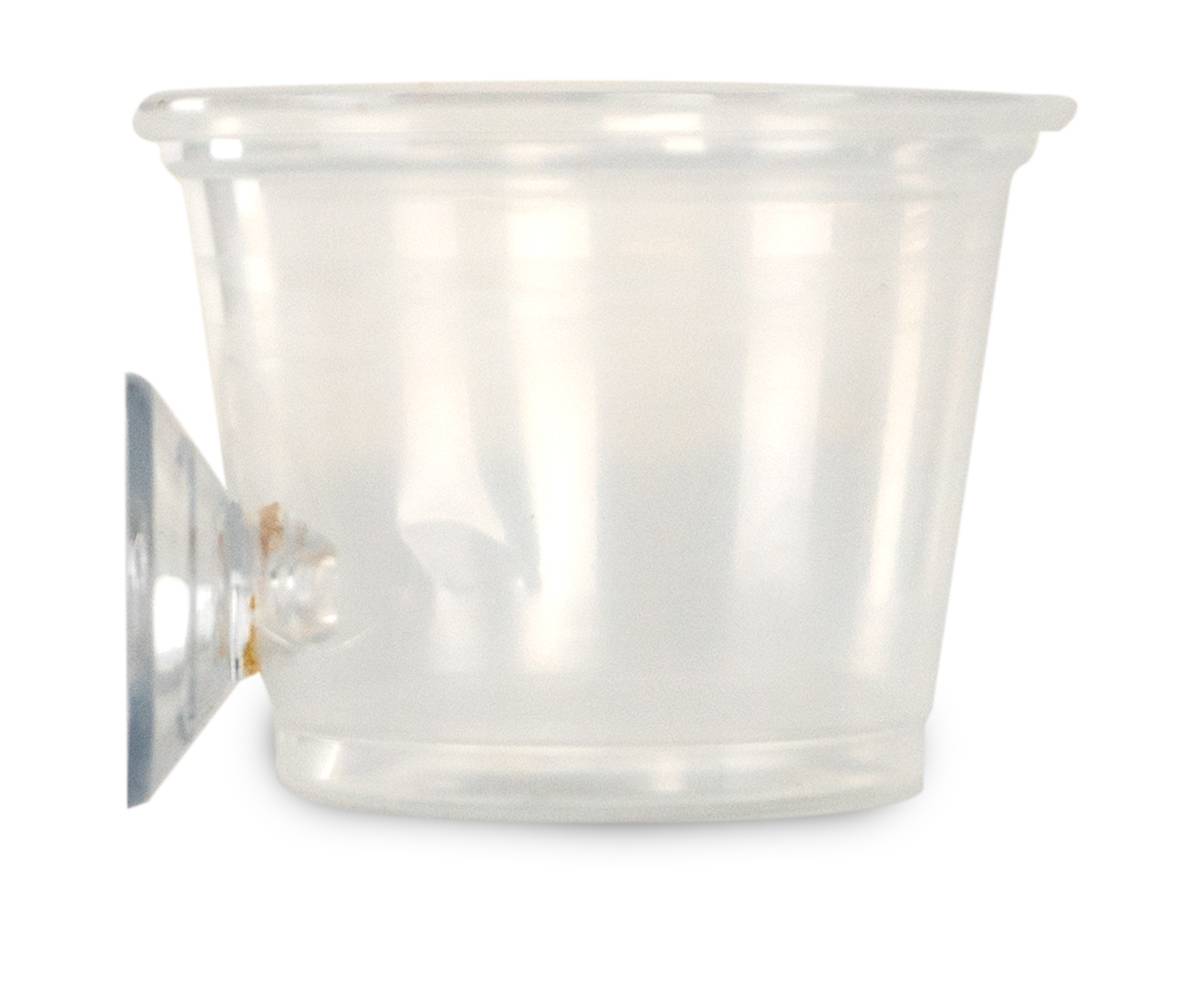 Mounted Suction Feeding Cup for Geckos (1 oz Cup)