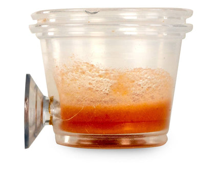 Mounted Suction Feeding Cup for Geckos (1 oz Cup)