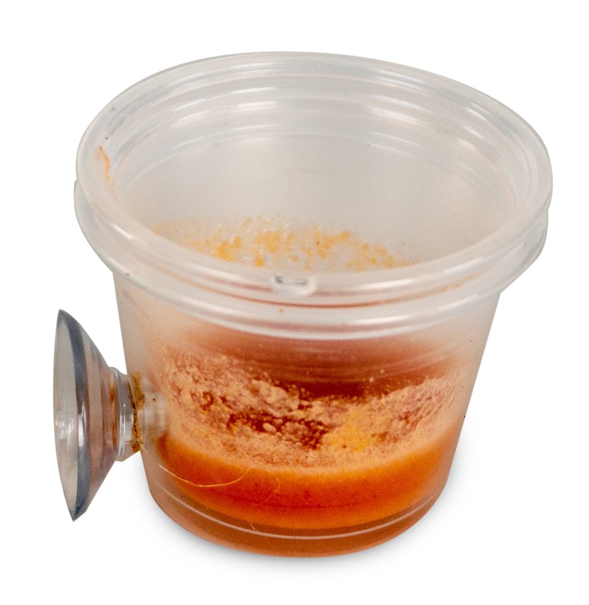 Mounted Suction Feeding Cup for Geckos (1 oz Cup)
