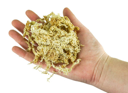 New Zealand Long Fiber Sphagnum Moss - CLASSIC (150g 12L)