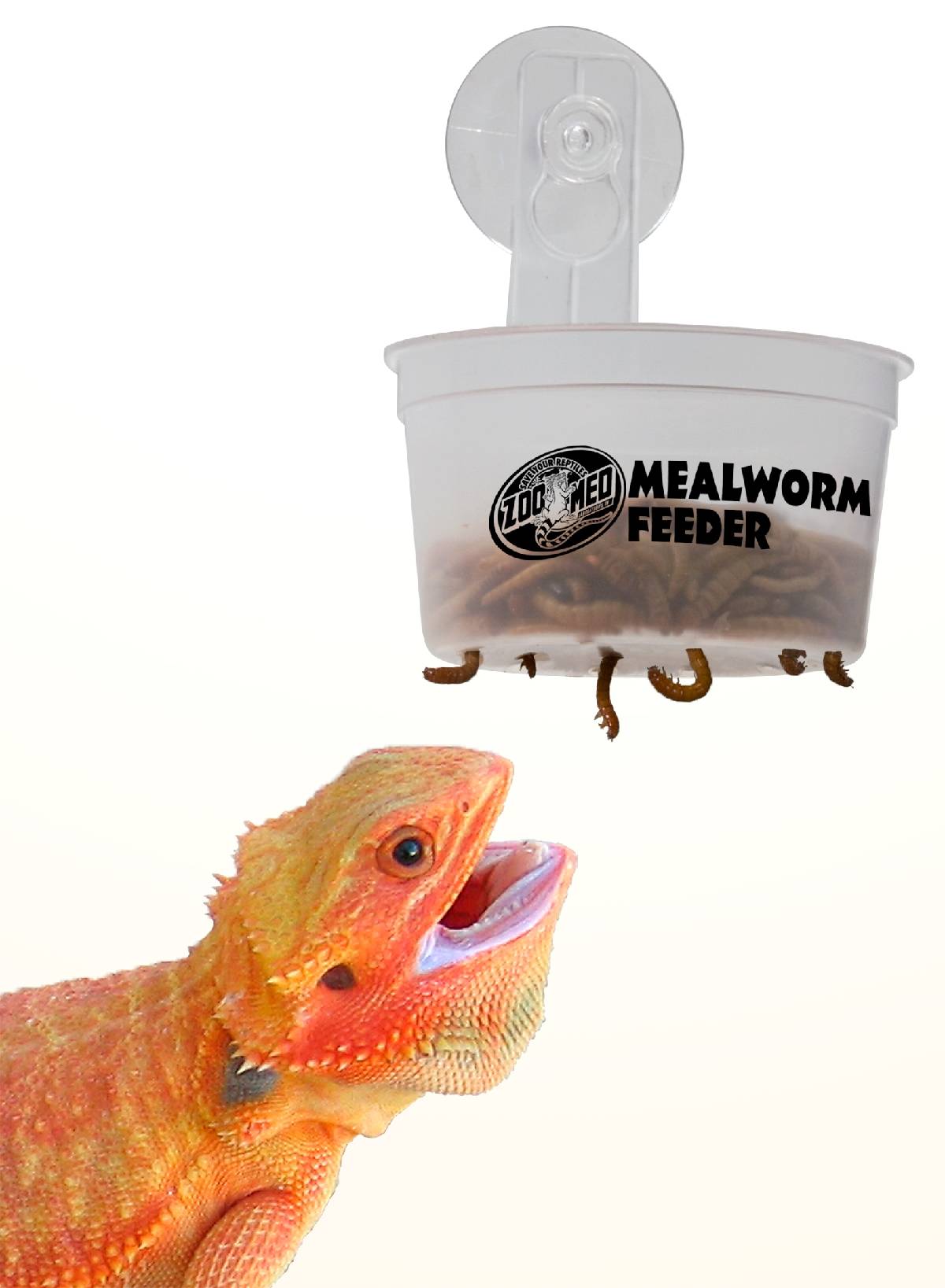 Zoo Med Hanging Mealworm Feeder