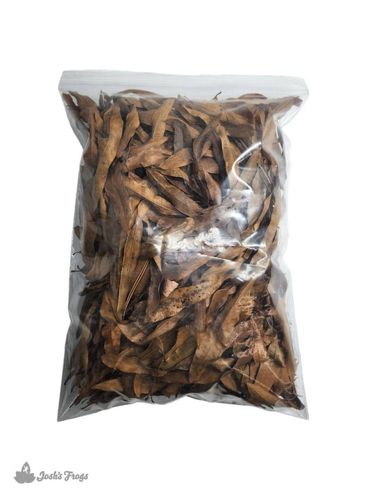 Willow Oak Leaf Litter (1 Gallon)