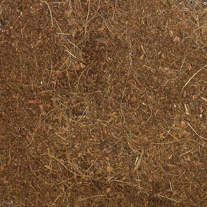 Zoo Med Eco Earth Loose Coconut Fiber Substrate (8 dry quarts, 8.8 liters)