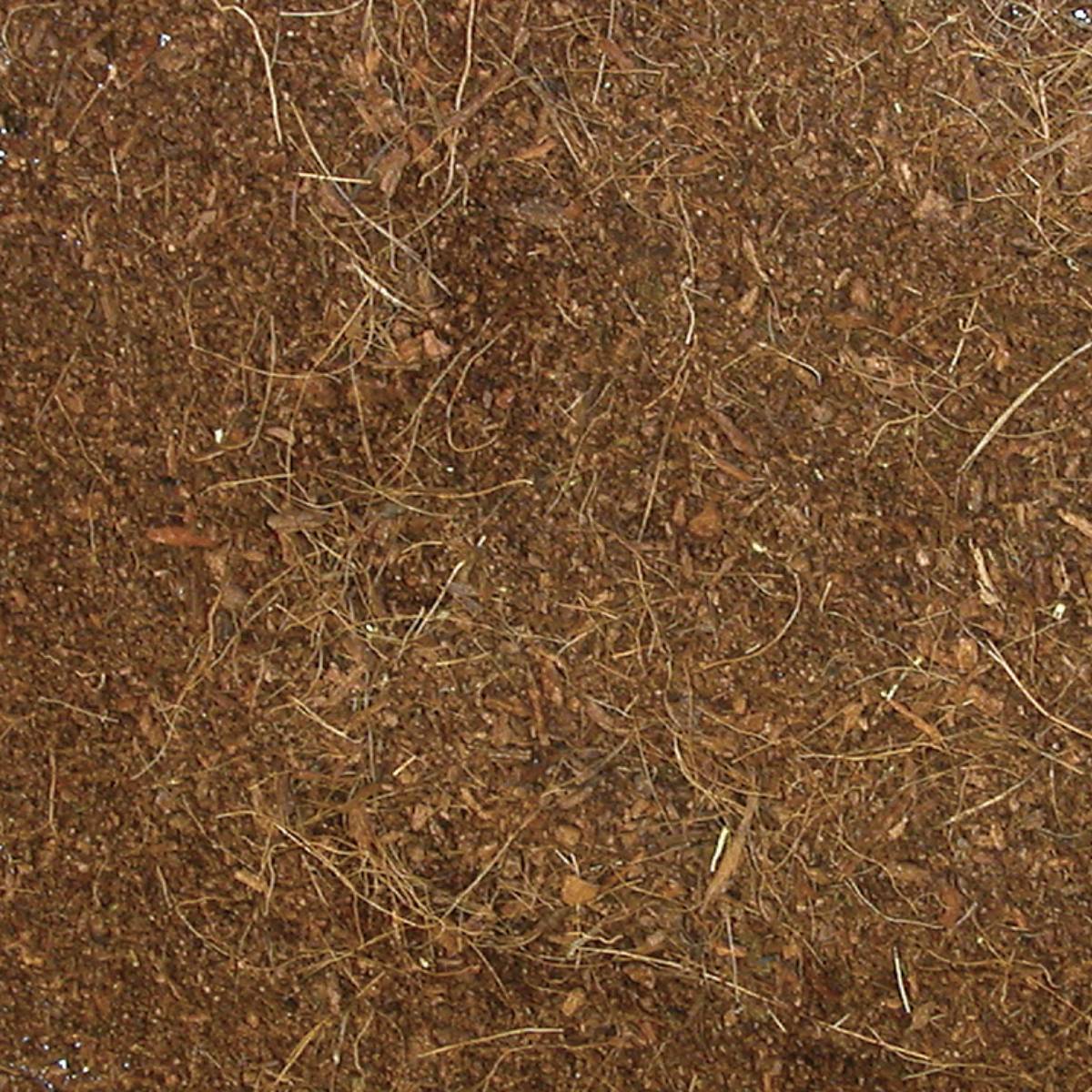 Zoo Med Eco Earth Coconut Fiber Substrate Brick (3 PACK - each brick expands to ~7-8 liters)